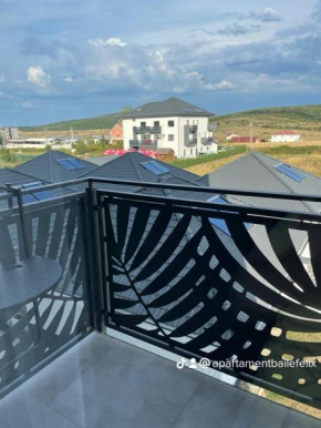Apartament regim hotelier Băile Felix
